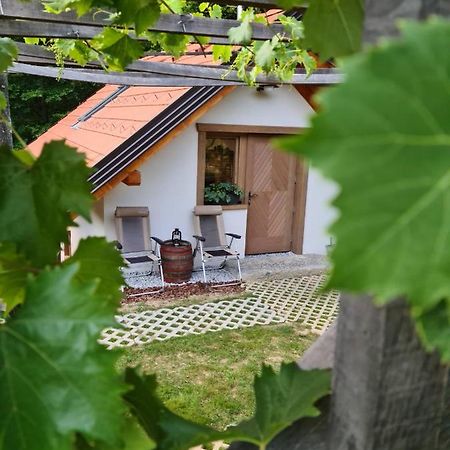Zidanica Zagar Villa Dolenjske Toplice Exterior photo